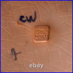 1920s Carter Stabler Adams 21cm Vase Hand Painted ZW Stylised Flower Design