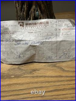 Chinese Studio Art Pottery Tree Trunk Vase with Frog & Wood Stand Signed