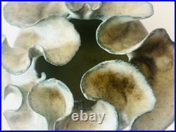 Deirdre Burnett Studio Pottery Porcelain Green Glaze'Ruffle' Small Pot