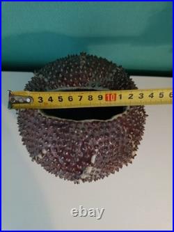 Des Pots Dutch Studio Pottery Spiky Sea Urchin 5.6 Ceramic Vase Iridescent