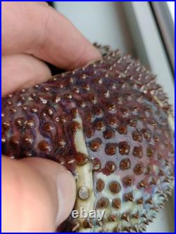 Des Pots Dutch Studio Pottery Spiky Sea Urchin 5.6 Ceramic Vase Iridescent