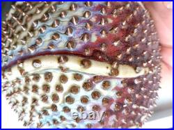 Des Pots Dutch Studio Pottery Spiky Sea Urchin 5.6 Ceramic Vase Iridescent