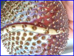 Des Pots Dutch Studio Pottery Spiky Sea Urchin 5.6 Ceramic Vase Iridescent