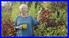 Ikebana_With_Rebecca_Wood_Founder_Of_R_Wood_Studio_Ceramics_01_cpu