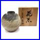 Japanese_Shigaraki_Ware_Vase_Hanaire_Kaki_Signed_Studio_Pottery_with_Tomobako_01_om