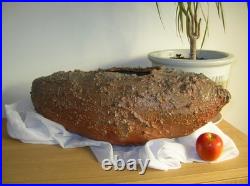 Large Nic Collins Signed Art Studio Pottery Vase Wood Fired Surface Texture