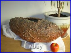 Large Nic Collins Signed Art Studio Pottery Vase Wood Fired Surface Texture