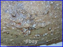 Large Nic Collins Signed Art Studio Pottery Vase Wood Fired Surface Texture