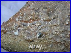 Large Nic Collins Signed Art Studio Pottery Vase Wood Fired Surface Texture