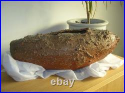 Large Nic Collins Signed Art Studio Pottery Vase Wood Fired Surface Texture