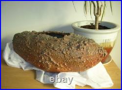 Large Nic Collins Signed Art Studio Pottery Vase Wood Fired Surface Texture