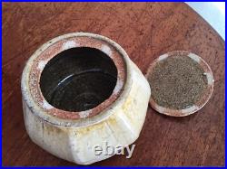 Lisa Hammond Stoneware Pumpkin Pot Studio Pottery