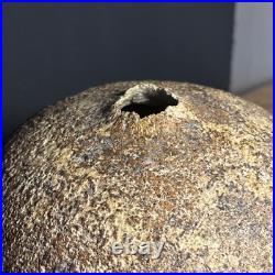 Lovely Vintage Naturalistic Japanese Studio Pottery Stoneware Seed Pod Vase