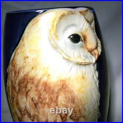 Malmesbury Chris & Clive King Studio Pottery Relief Moulded Tall Owl Vase