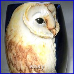 Malmesbury Chris & Clive King Studio Pottery Relief Moulded Tall Owl Vase