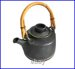 Mary Rich studio pottery Tea Pot