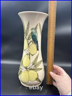 Moorcroft Lemons And Finches Sally Tuffin Vase. Moorcroft Museum Item Moorcroft Lemons And Finches Sally Tuffin Vase. Moorcroft Museum Item