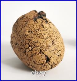 Peter Webb Studio Pottery Freeform Vessels