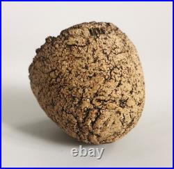 Peter Webb Studio Pottery Freeform Vessels