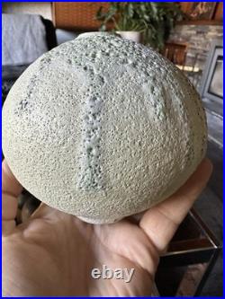 Studio Pottery Seed Pod Style Vase In Blue / Grey Volcanic Glaze By Andrew Palin