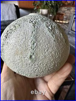 Studio Pottery Seed Pod Style Vase In Blue / Grey Volcanic Glaze By Andrew Palin