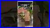 The_Thinnest_Vase_I_Ve_Ever_Made_In_The_Pottery_Studio_Pottery_Art_Diycrafts_01_epdp