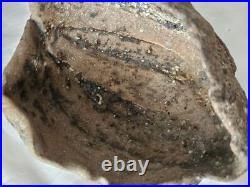 Very unusual stunning studio pottery sculptural bowl form vase, with calcite